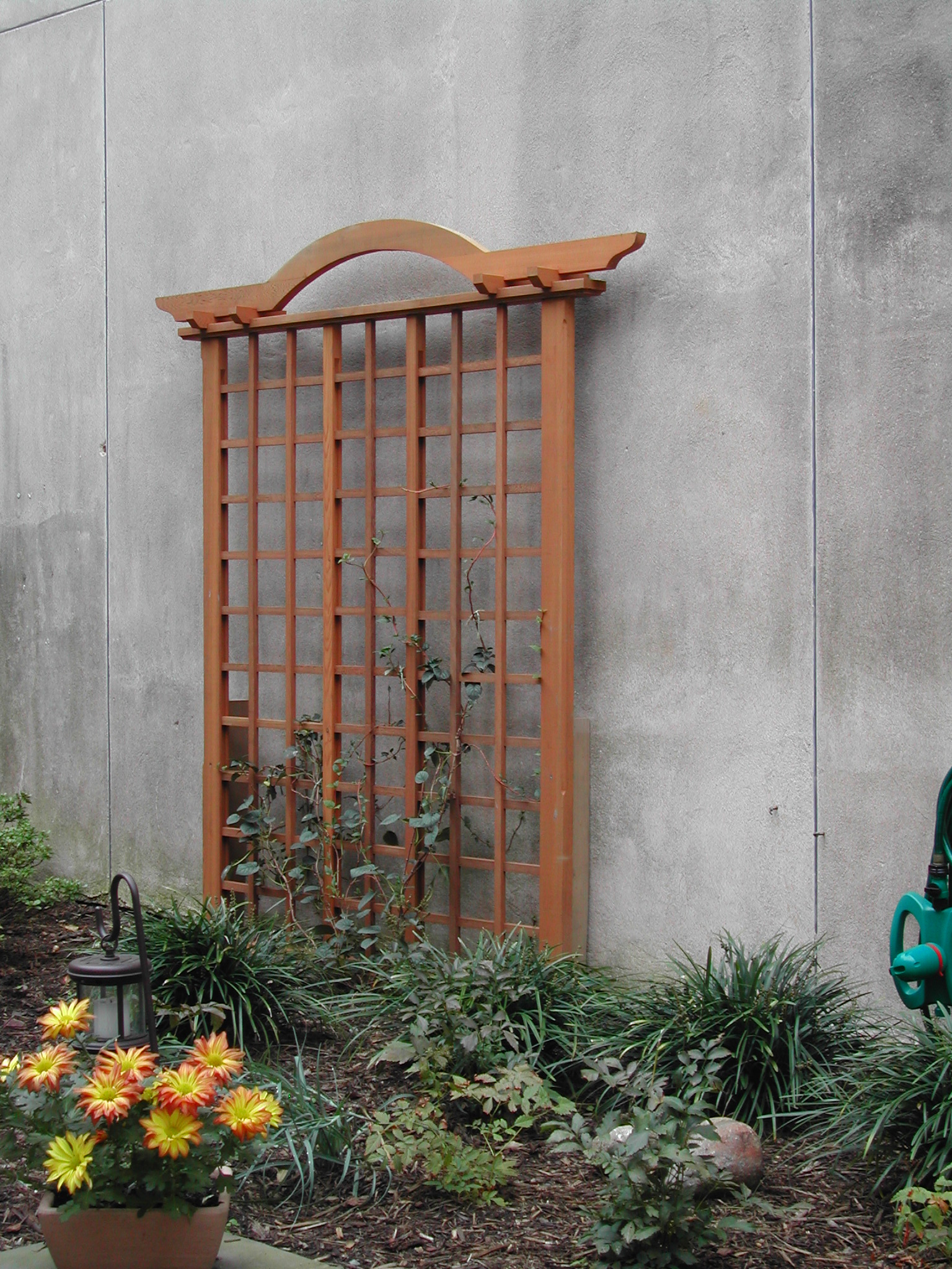 New England Trellis - image 4