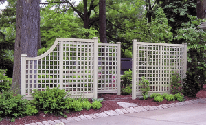 cf09a-privacy-trellis-screen[1]